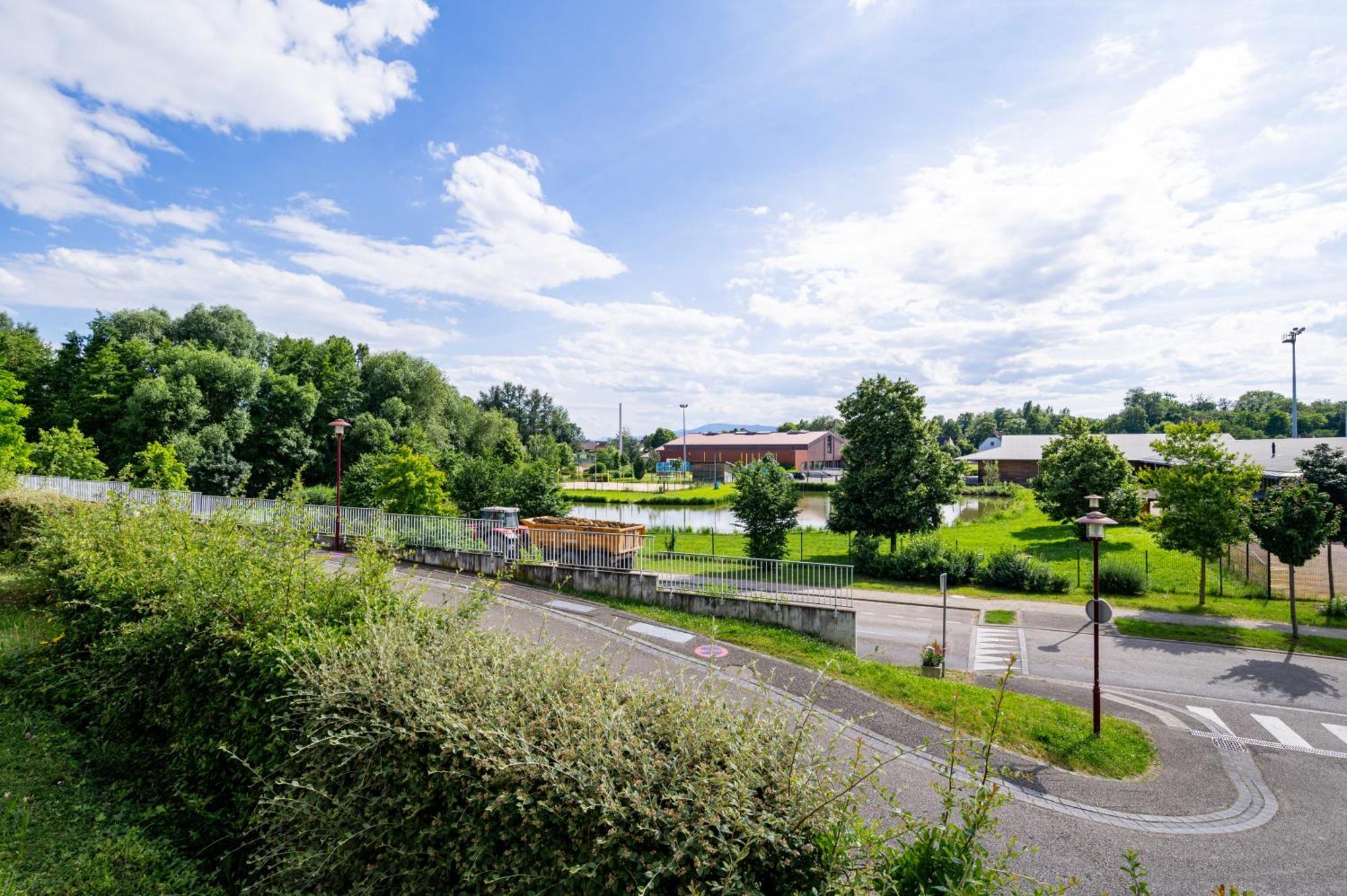 Chez Virgil - Terrasse Vue Degagee, Parking Prive Appartement Ernolsheim-Bruche Buitenkant foto