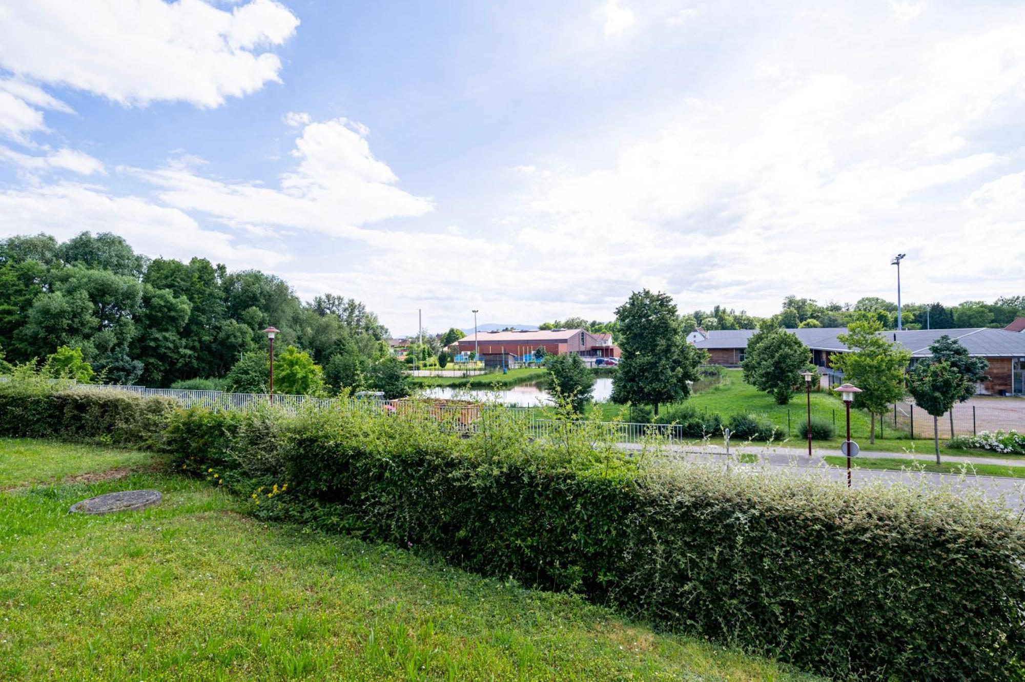 Chez Virgil - Terrasse Vue Degagee, Parking Prive Appartement Ernolsheim-Bruche Buitenkant foto