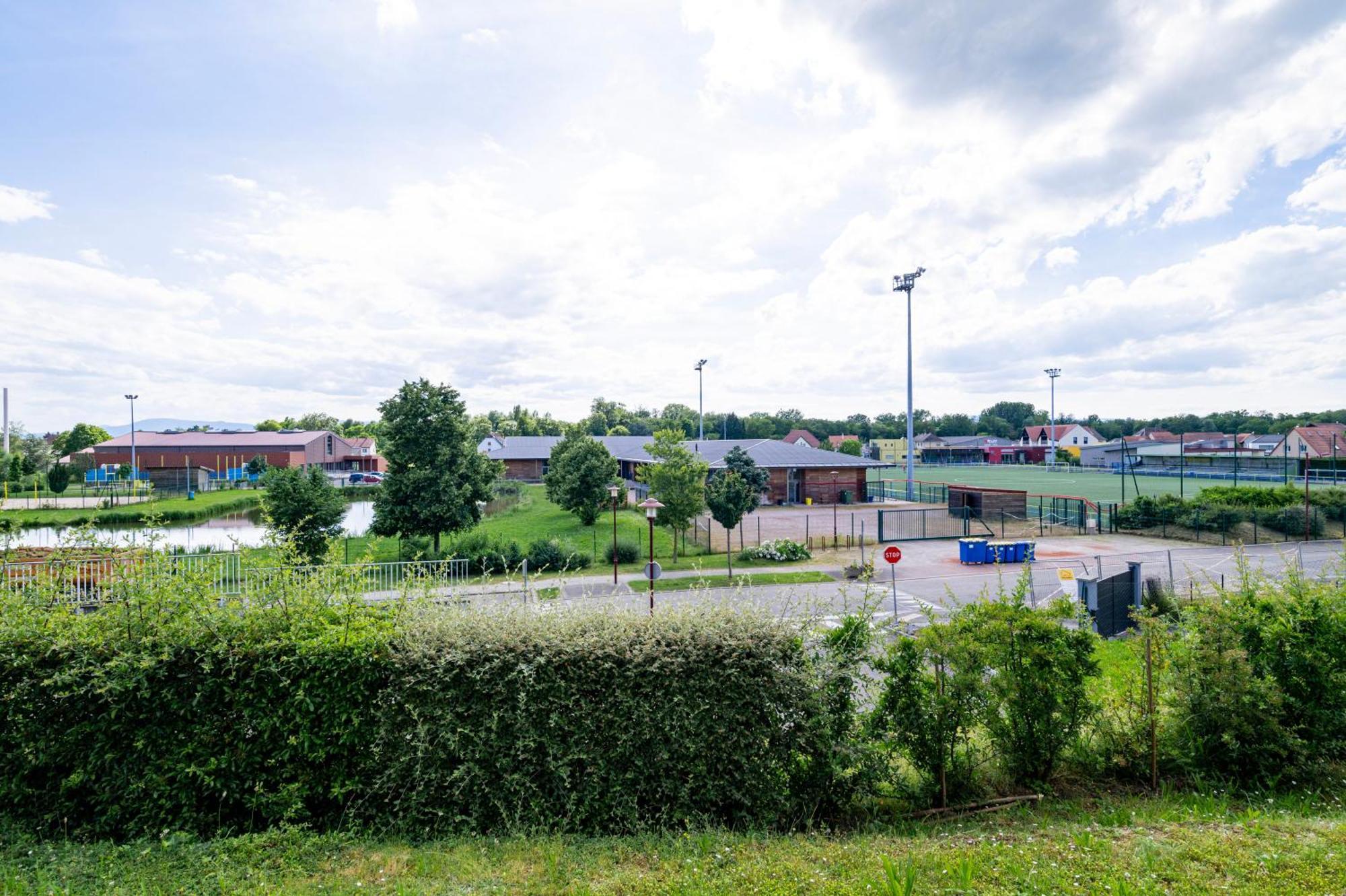 Chez Virgil - Terrasse Vue Degagee, Parking Prive Appartement Ernolsheim-Bruche Buitenkant foto